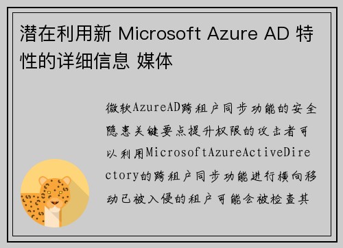 潜在利用新 Microsoft Azure AD 特性的详细信息 媒体